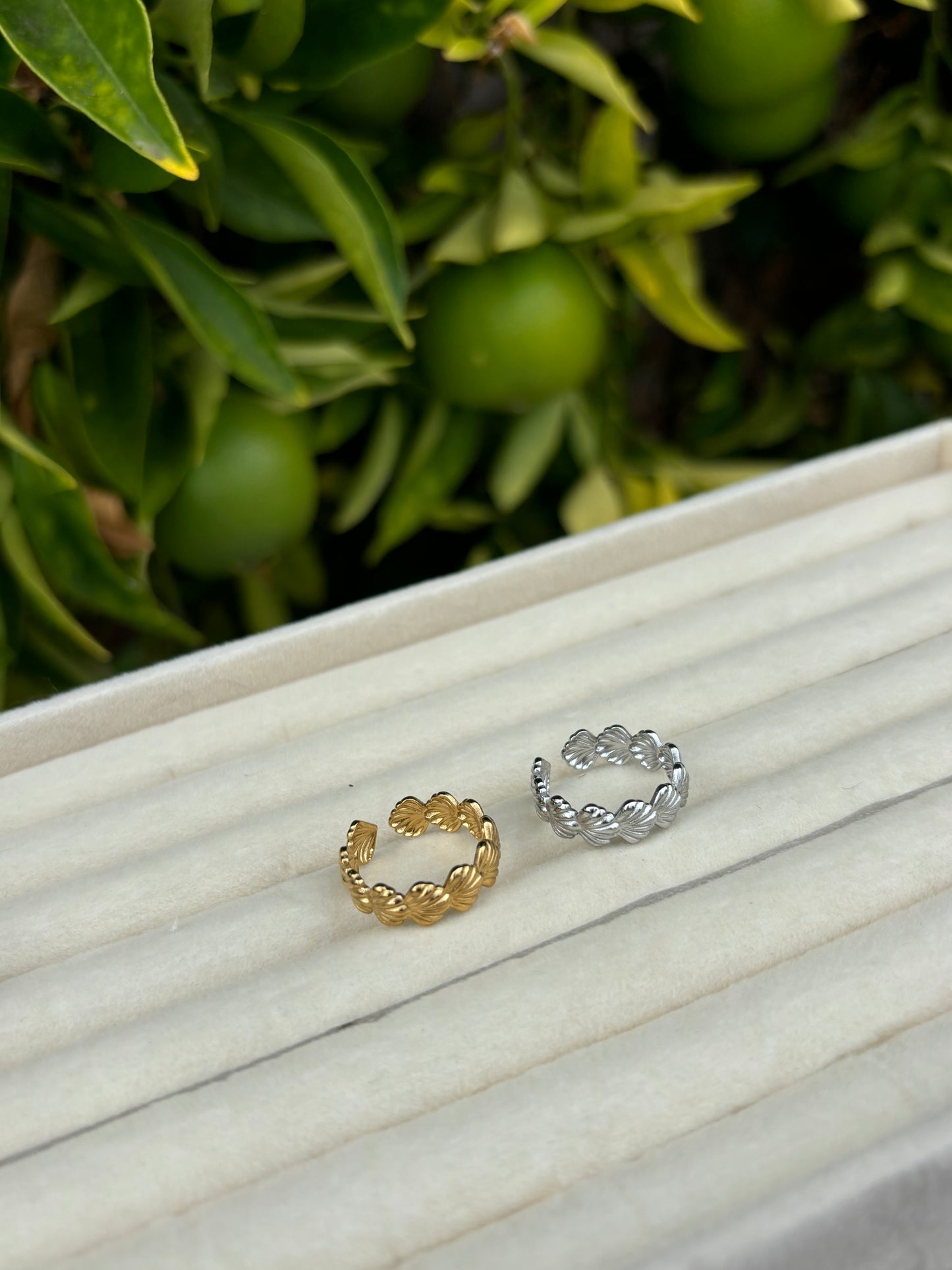 Seashell Adjustable Rings