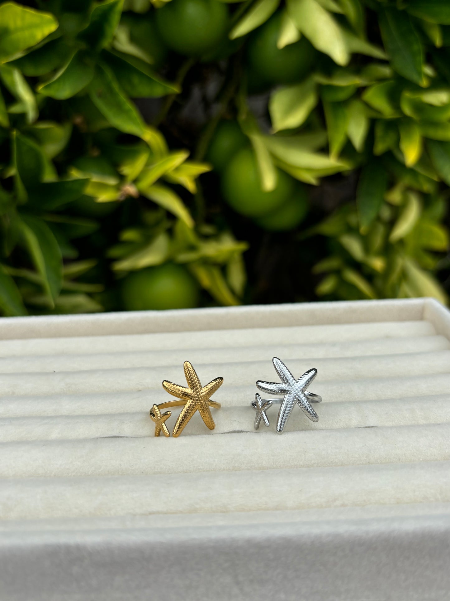 Starfish Rings