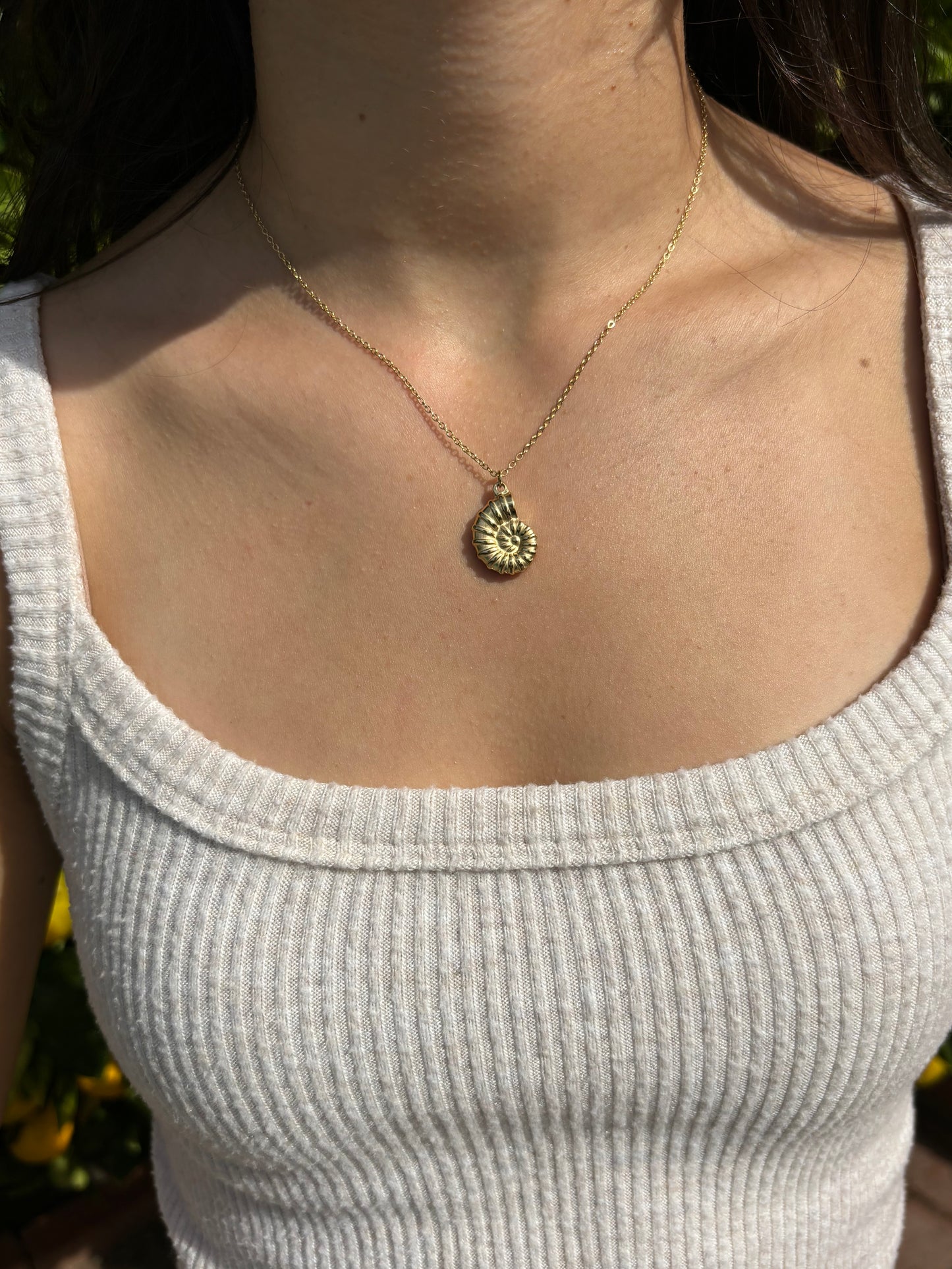 Conch Shell Chain Necklace