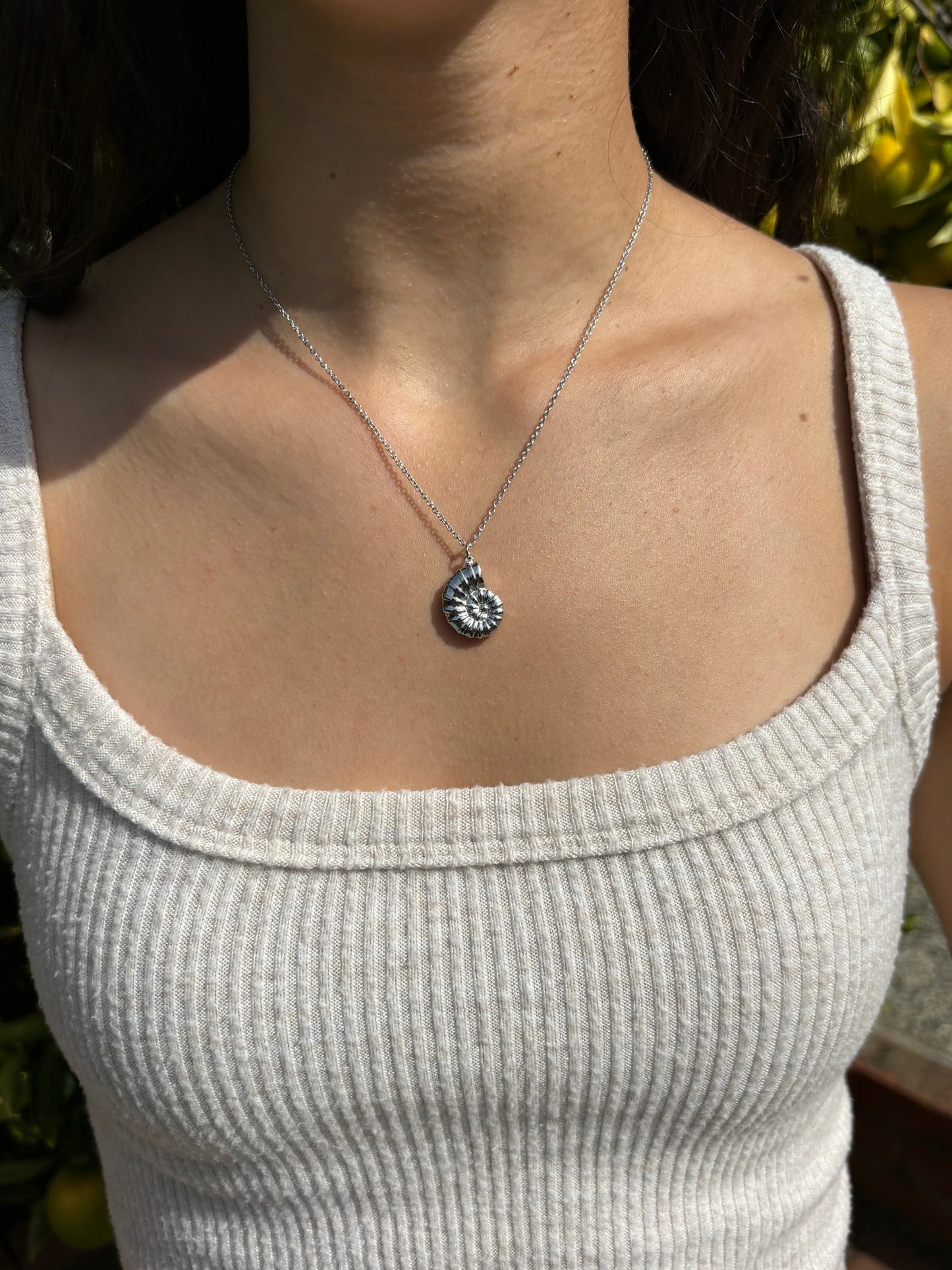 Conch Shell Chain Necklace