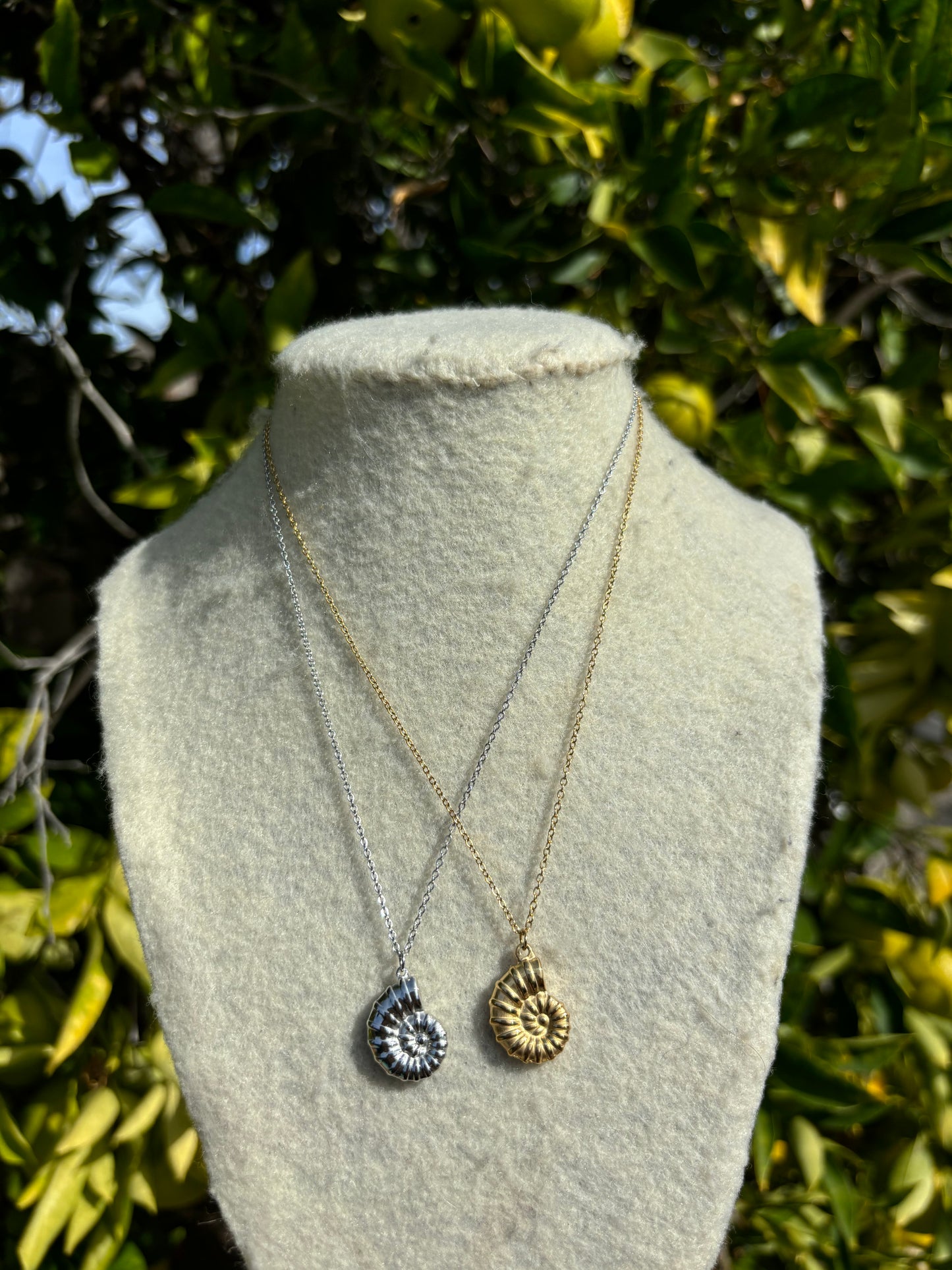 Conch Shell Chain Necklace