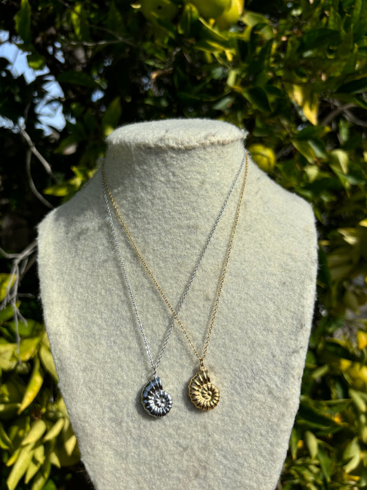 Conch Shell Chain Necklace