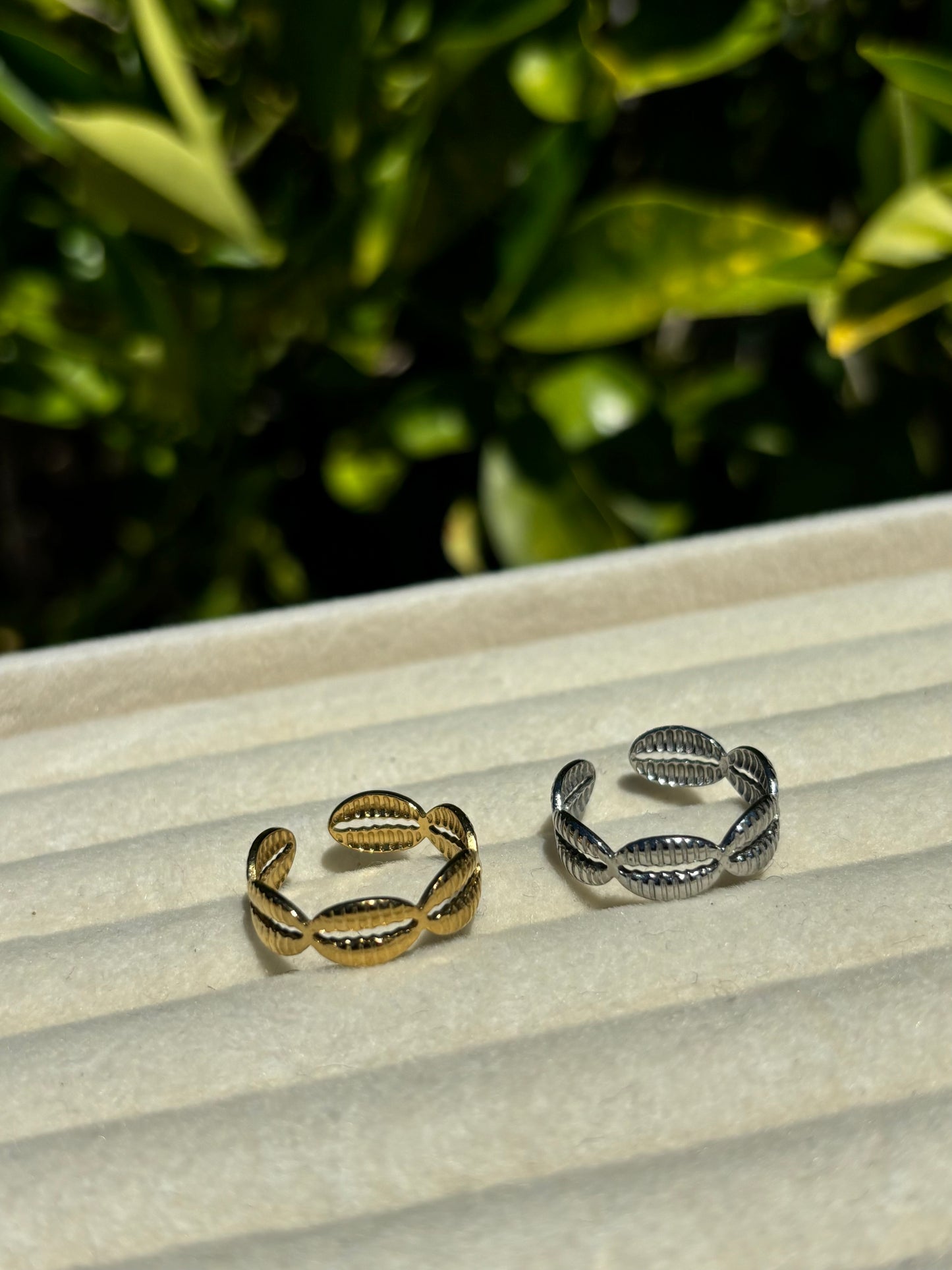 Shell Adjustable Rings