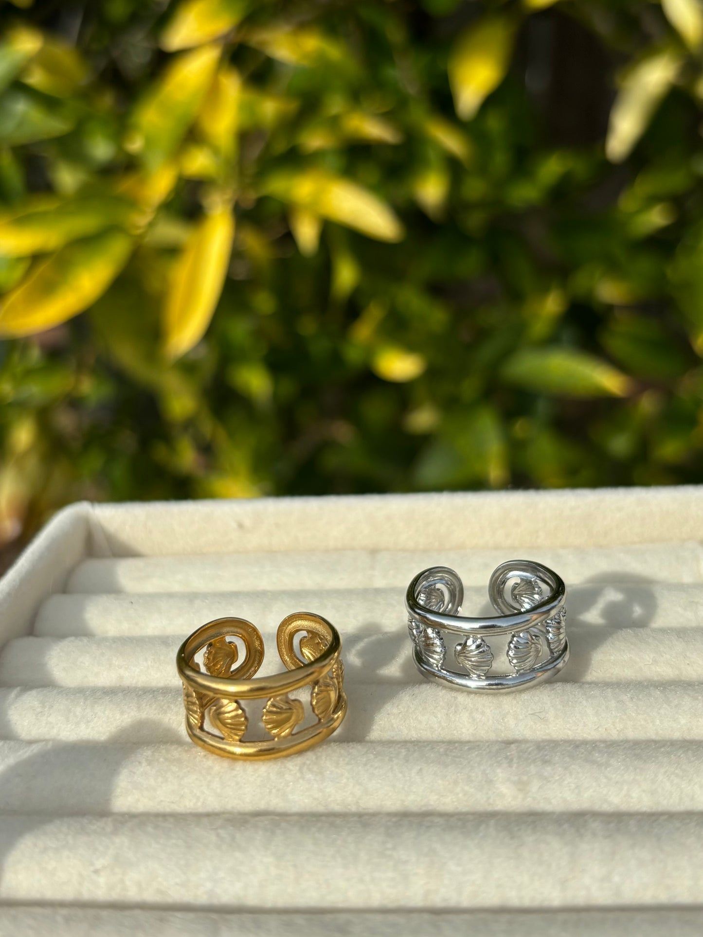 Seashell Frame Adjustable Rings