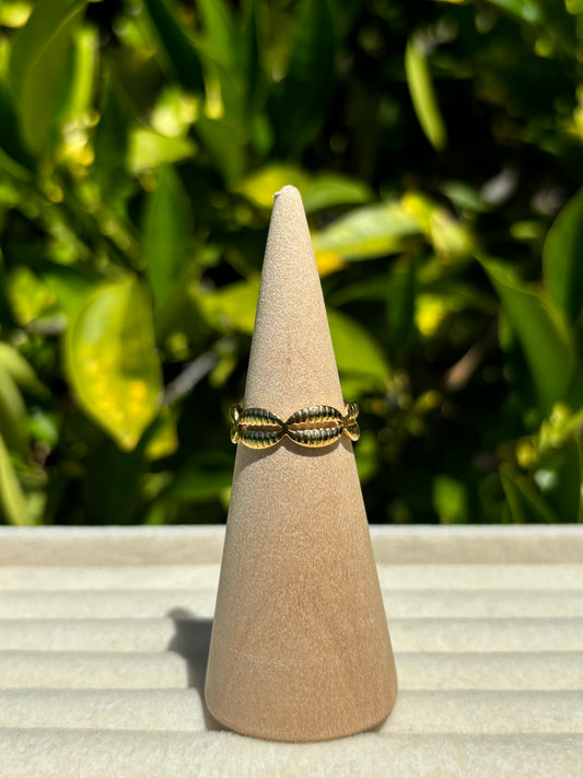 Shell Adjustable Rings